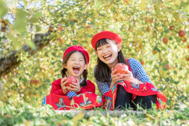 りんごは親しまれている青果ですメインビジュアル